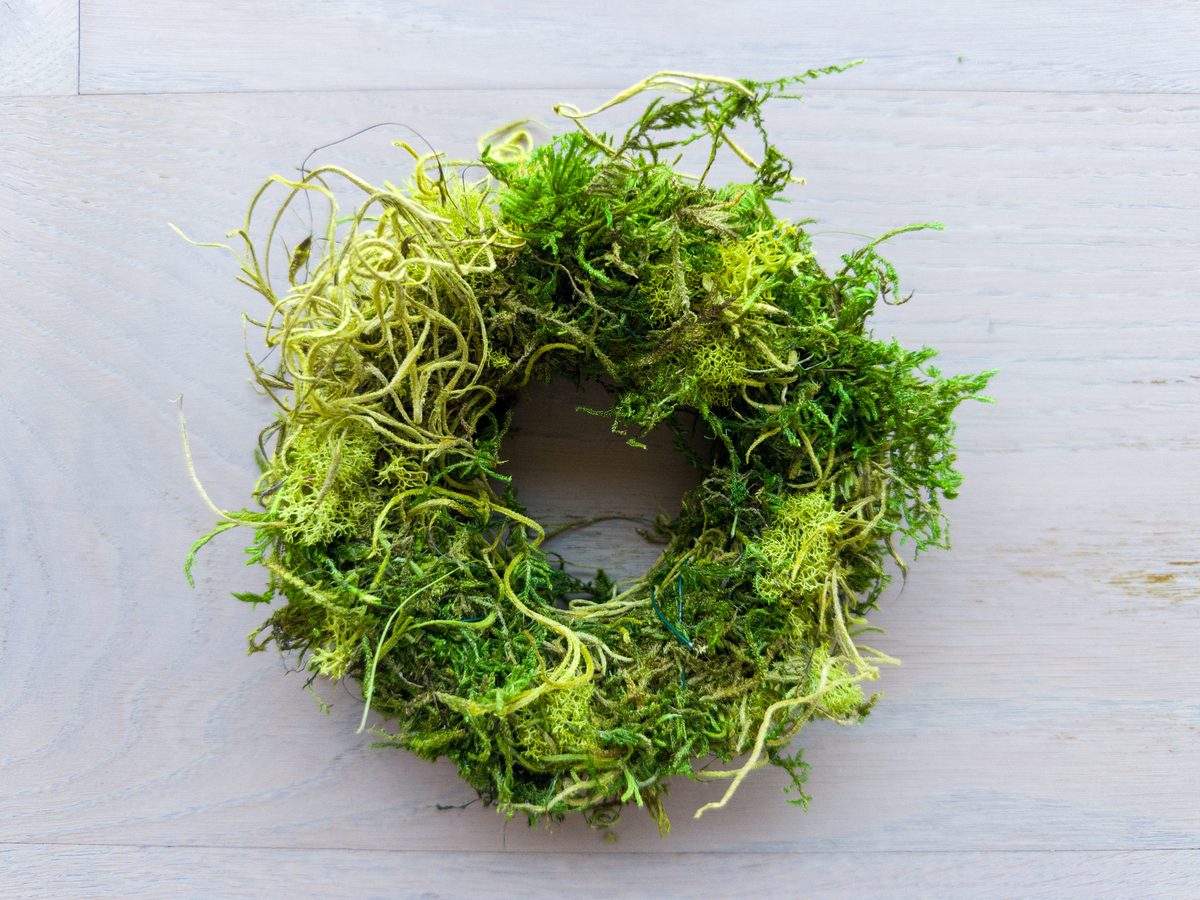 Lush moss wreath in deep green